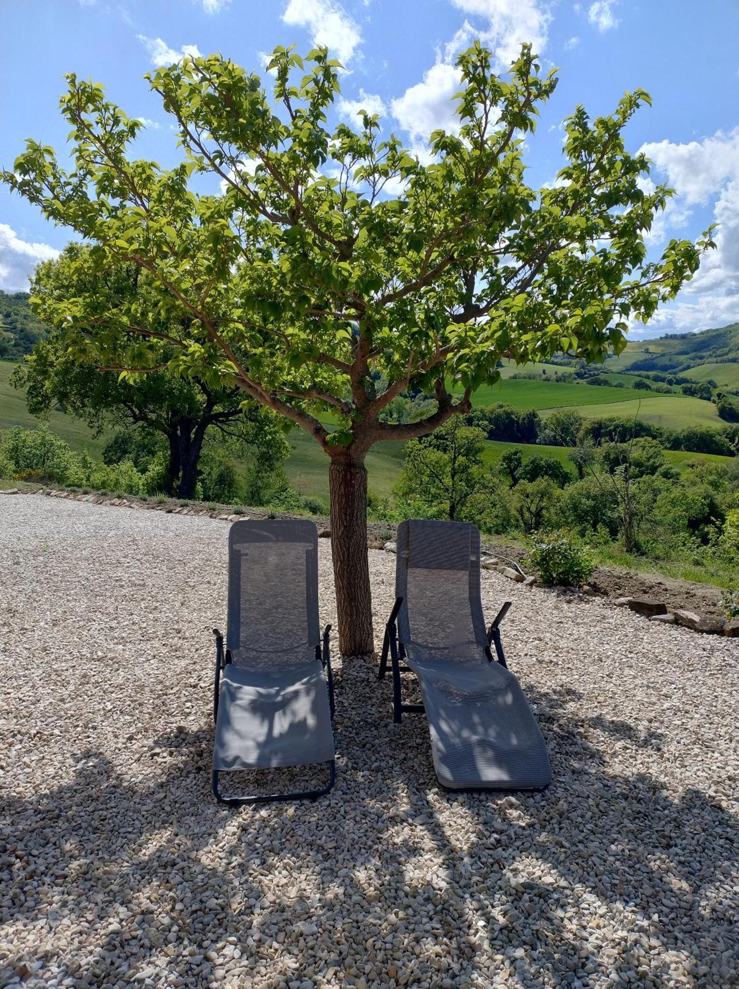 Rosa Nel Pozzo Apartments And B&B San Pietro  Екстер'єр фото